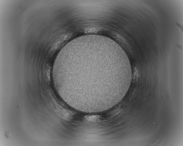 X0000102340452200808221634