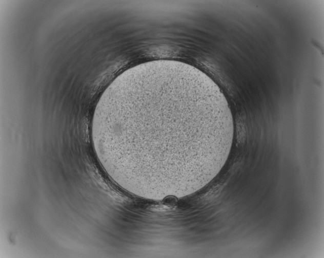 X0000102340453200808221634