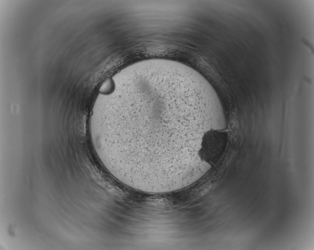 X0000102340454200808221634