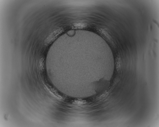 X0000102340455200808221634