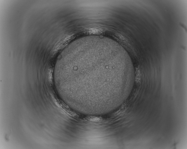 X0000102340456200808221634