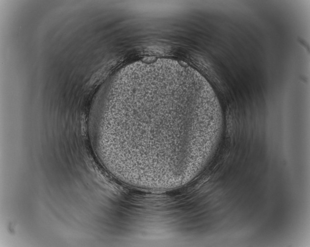 X0000102340457200808221634