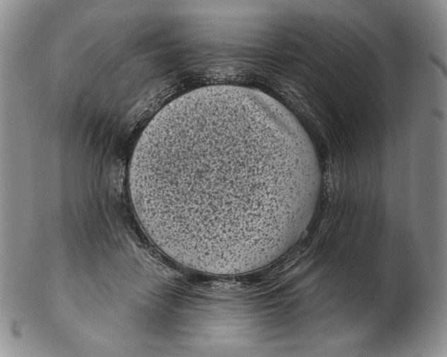 X0000102340458200808221634