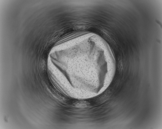 X0000102340459200808221634