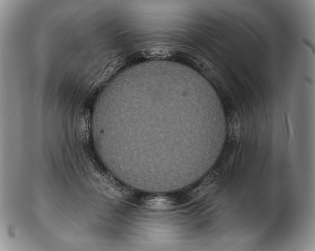 X0000102340460200808221634