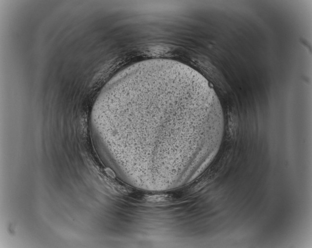 X0000102340461200808221634