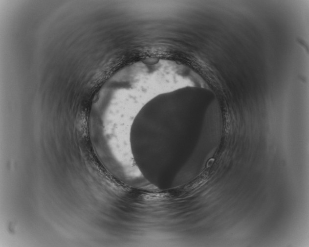 X0000102340465200808221635