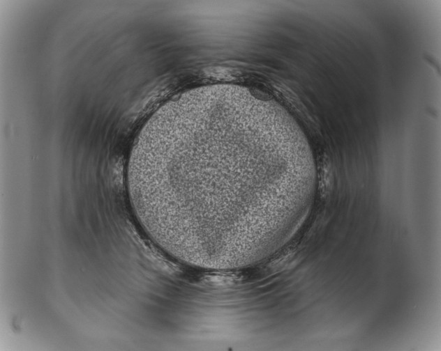 X0000102340466200808221635