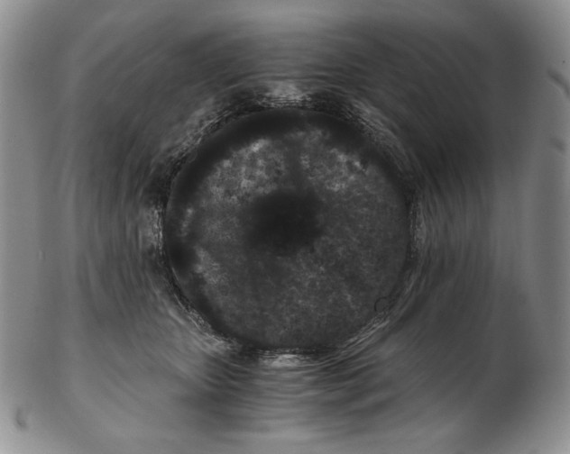 X0000102340467200808221635