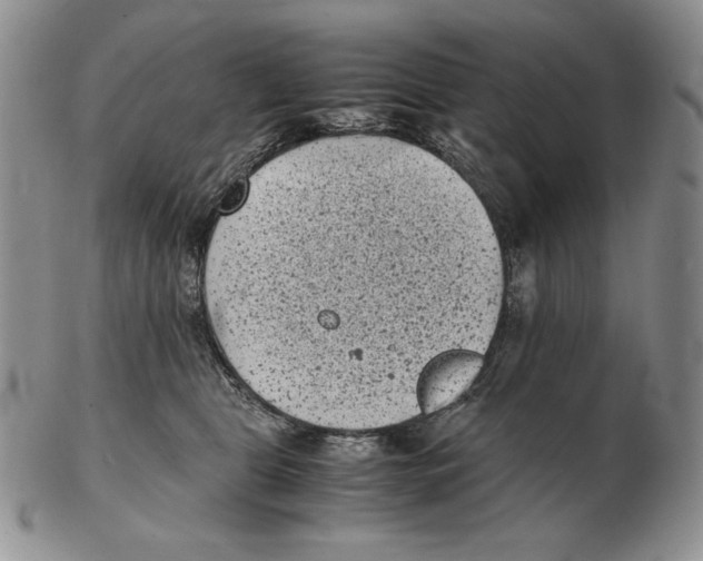 X0000102340469200808221635