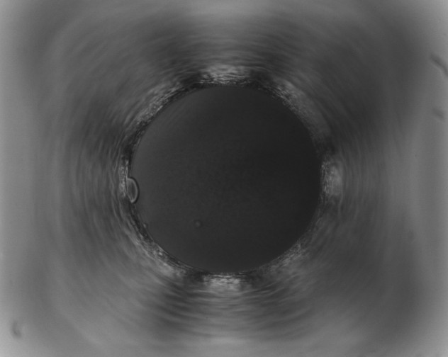 X0000102340471200808221635