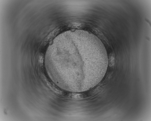 X0000102340472200808221635