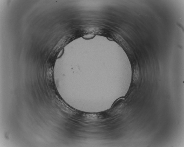 X0000102340473200808221635