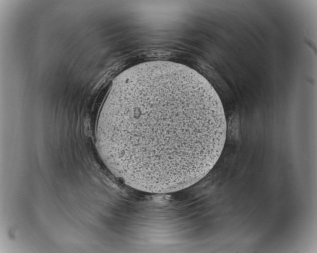 X0000102340474200808221635