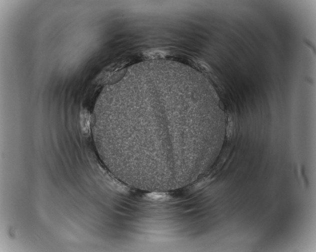 X0000102340477200808221635