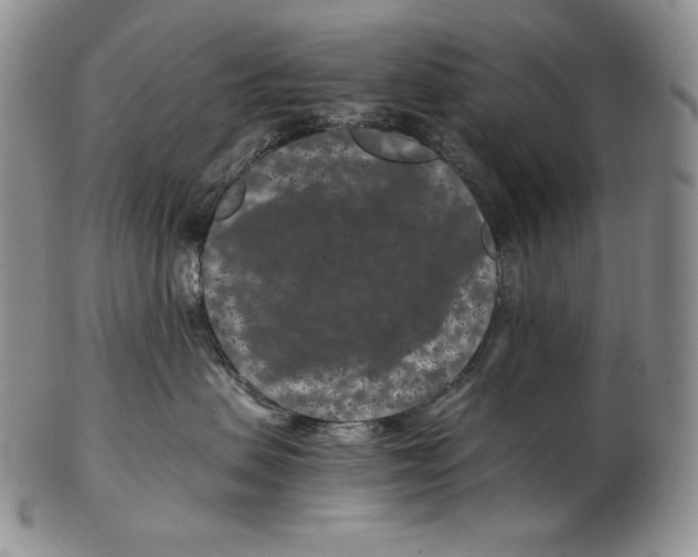 X0000102340479200808221635