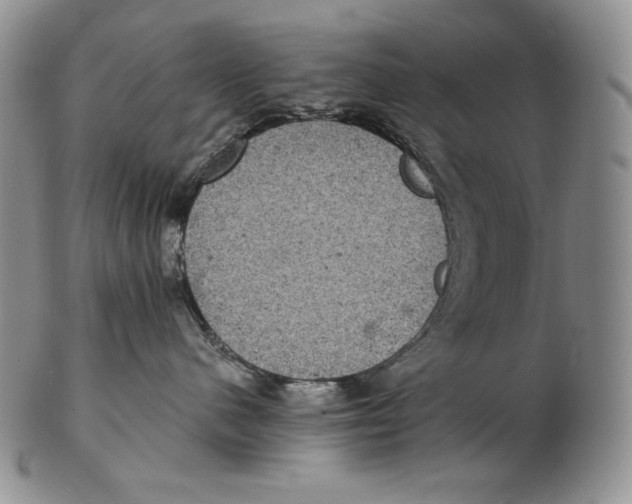 X0000102340480200808221635