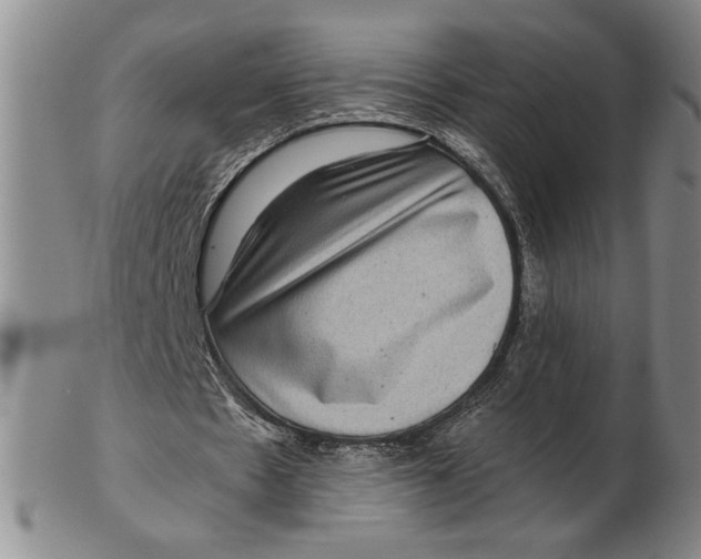 X0000102340481200808221634