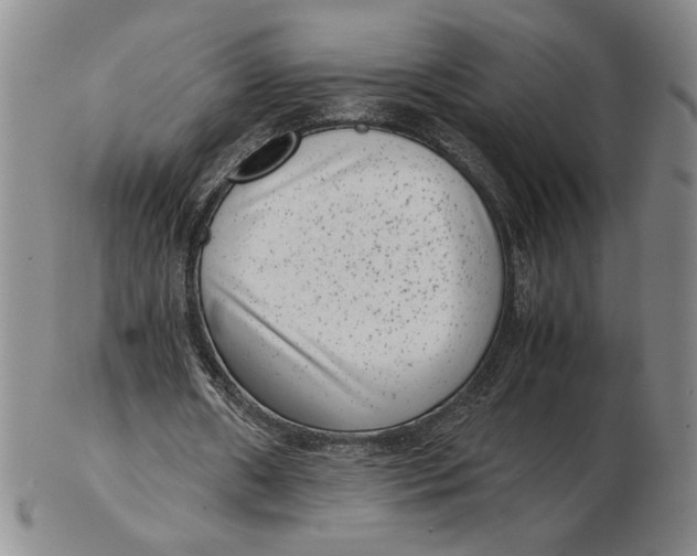 X0000102340482200808221634