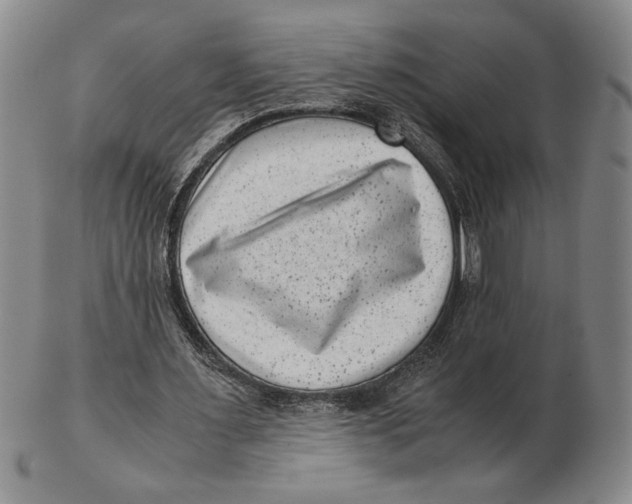 X0000102340483200808221634