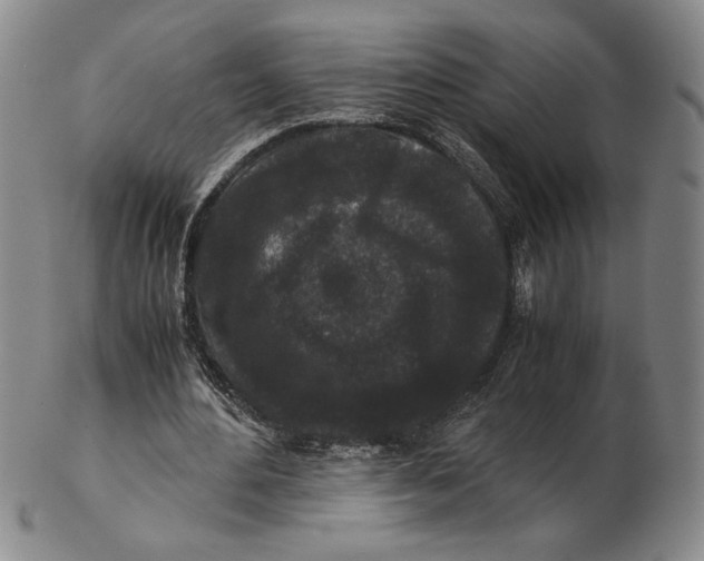 X0000102340484200808221634