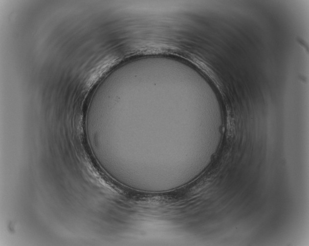 X0000102340485200808221634