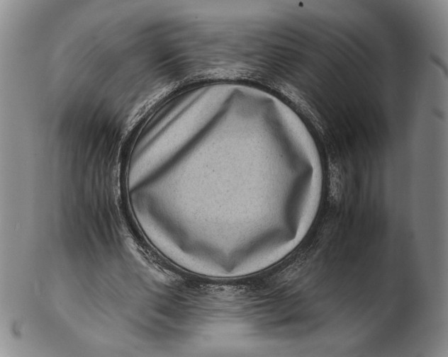 X0000102340486200808221634