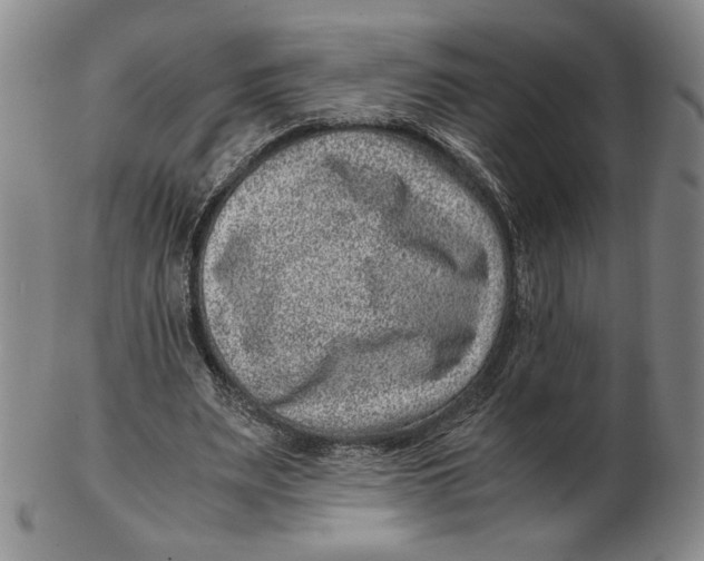 X0000102340487200808221634