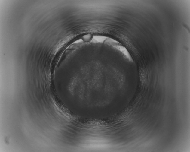 X0000102340488200808221634