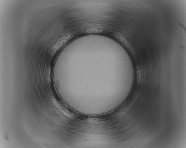 X0000102340490200808221634