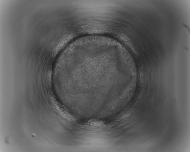 X0000102340491200808221634