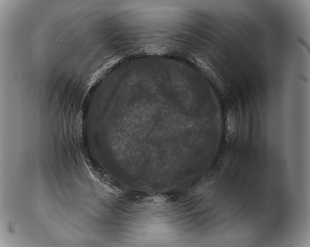 X0000102340492200808221634