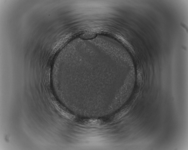 X0000102340493200808221634