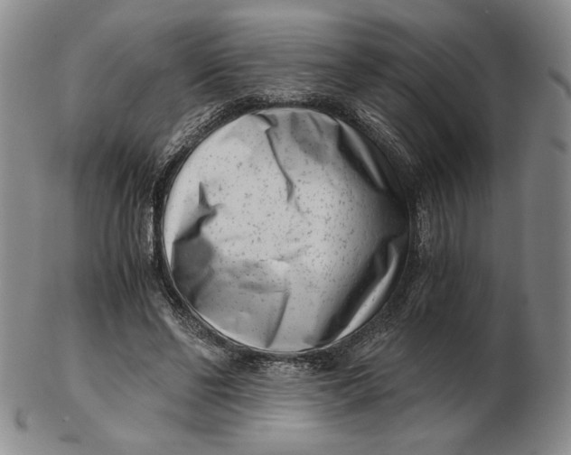 X0000102340494200808221634