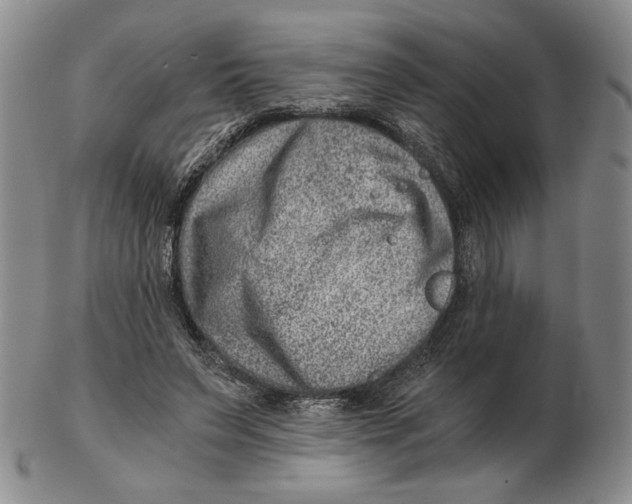 X0000102340495200808221634