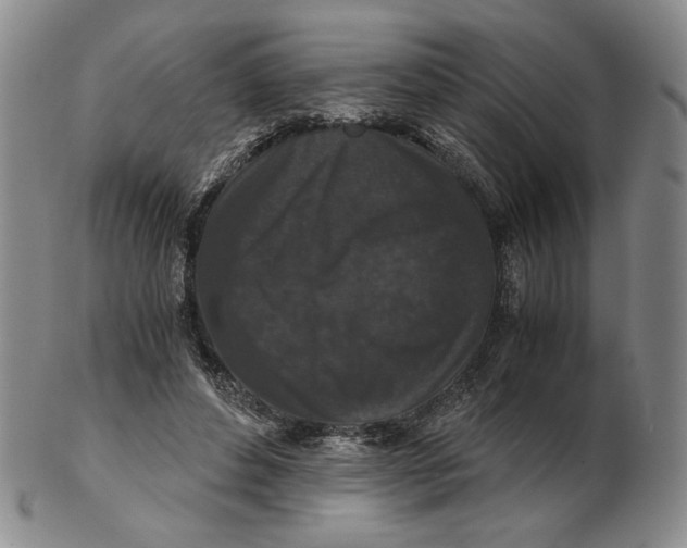 X0000102340496200808221634