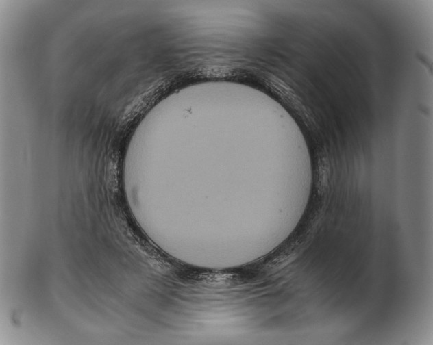 X0000102340497200808221634