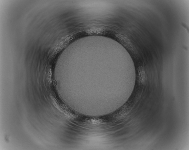 X0000102340498200808221634