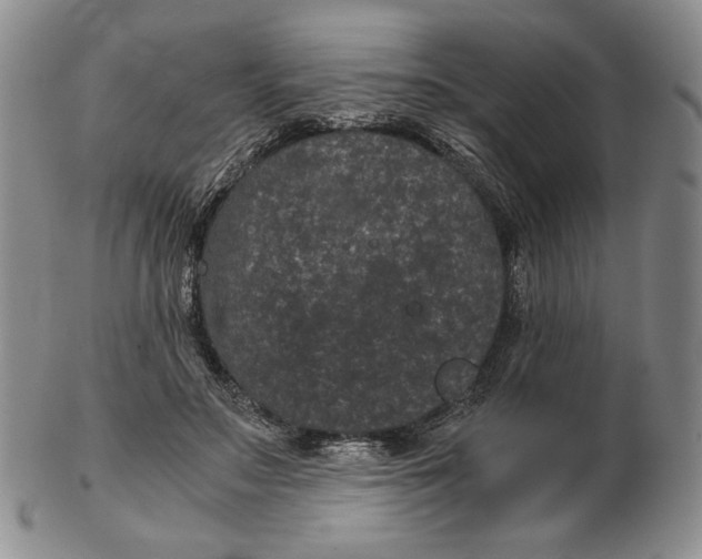 X0000102340499200808221634