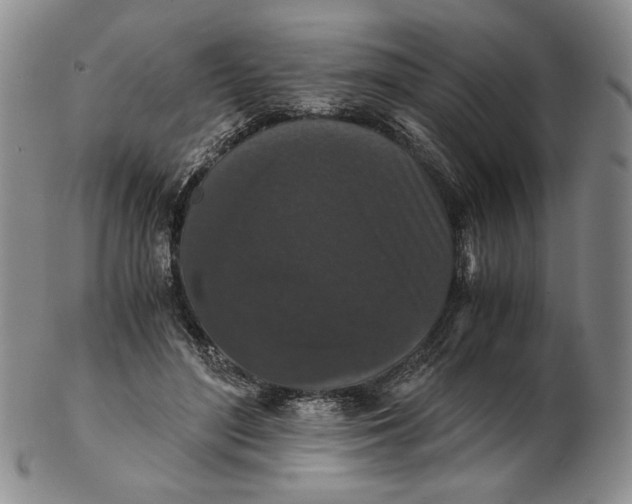 X0000102340500200808221634