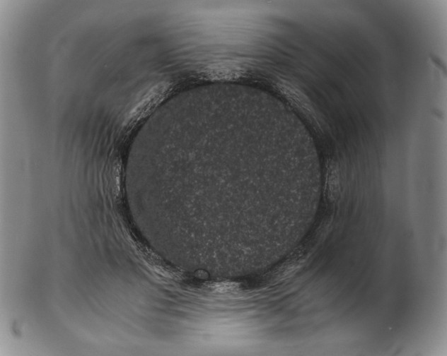 X0000102340501200808221634