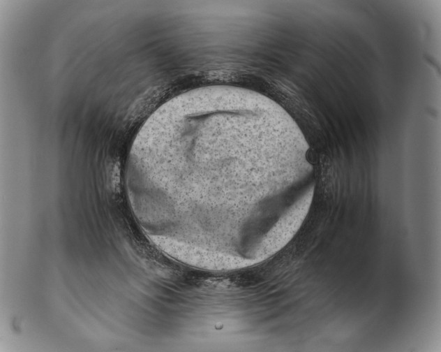 X0000102340502200808221634