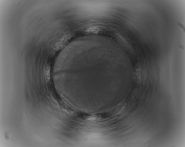 X0000102340504200808221634