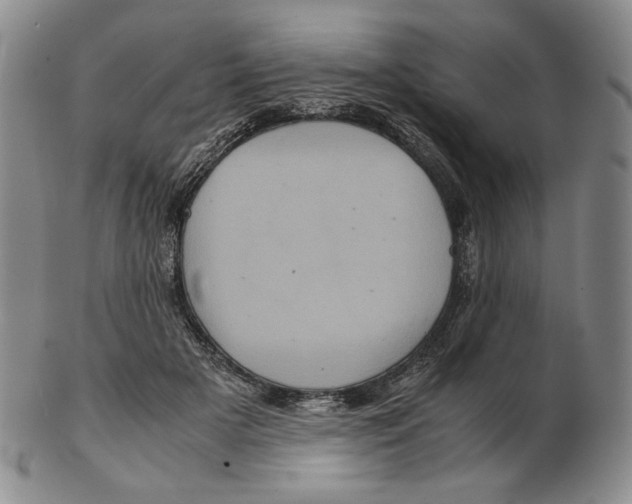 X0000102340505200808221634