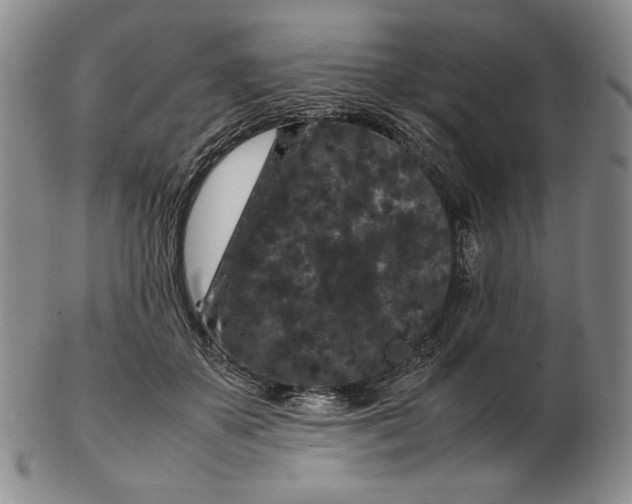 X0000102340507200808221634