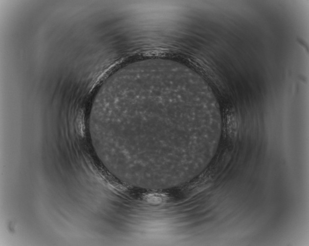 X0000102340508200808221634