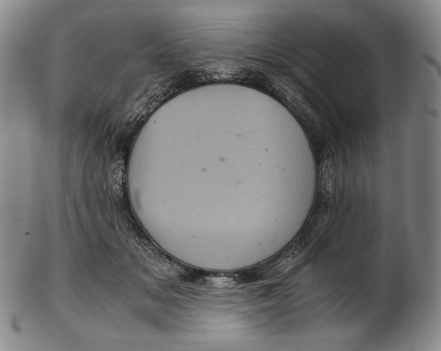 X0000102340509200808221634