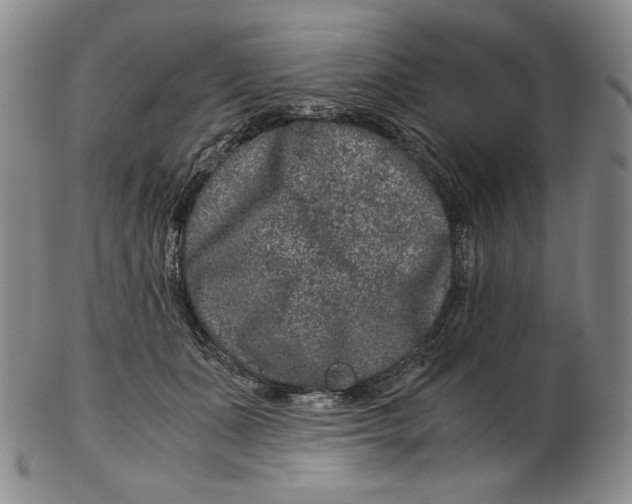 X0000102340511200808221634