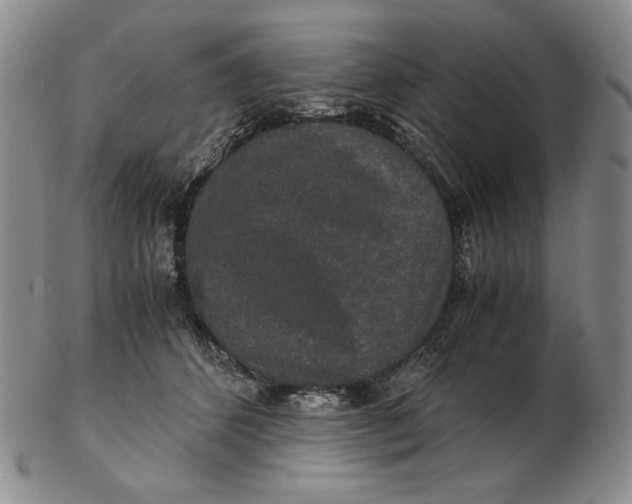 X0000102340512200808221633