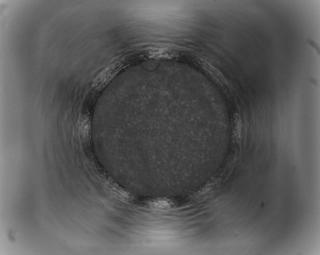 X0000102340513200808221633